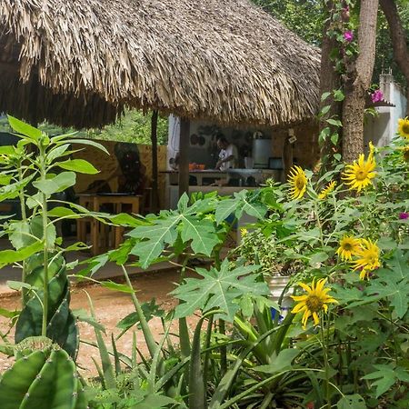 Hostel Hipilandia Taganga Exteriér fotografie