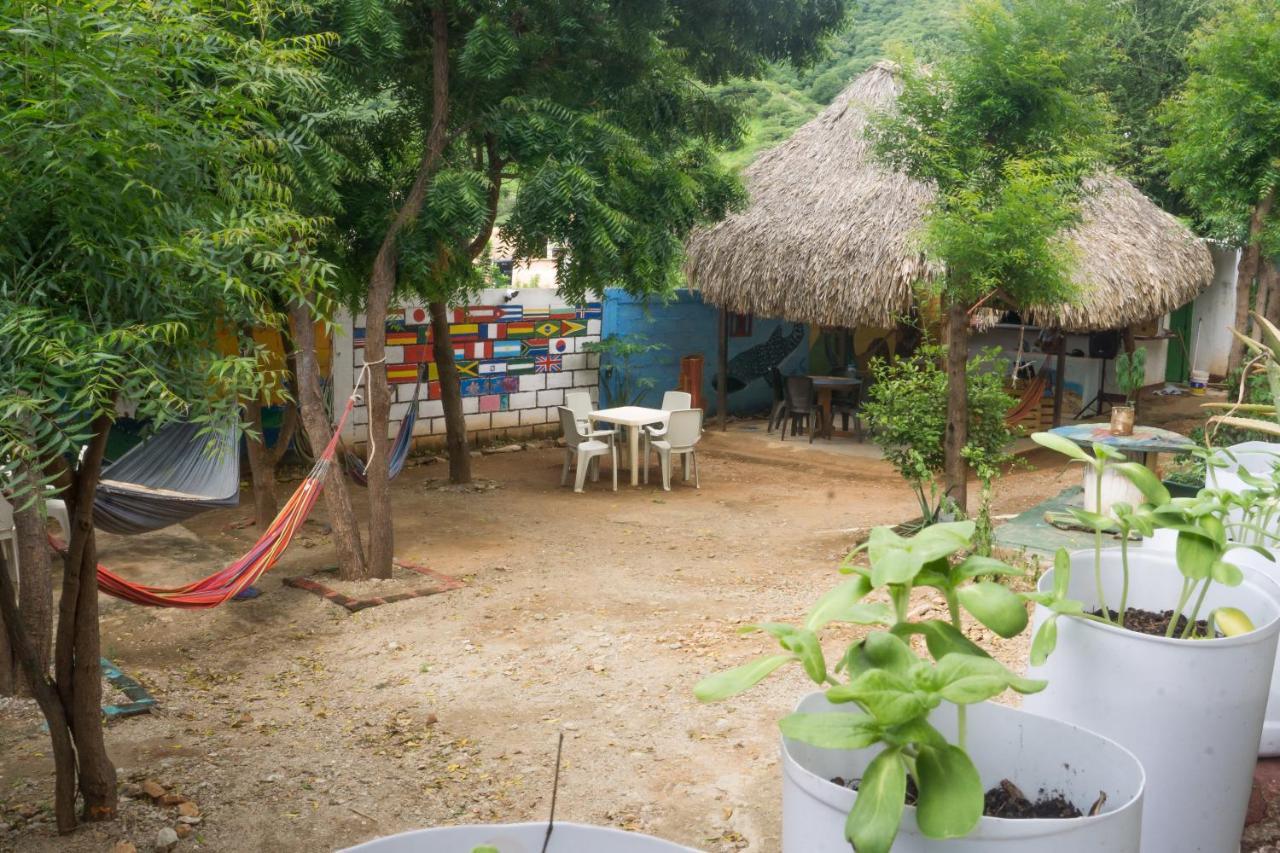 Hostel Hipilandia Taganga Exteriér fotografie