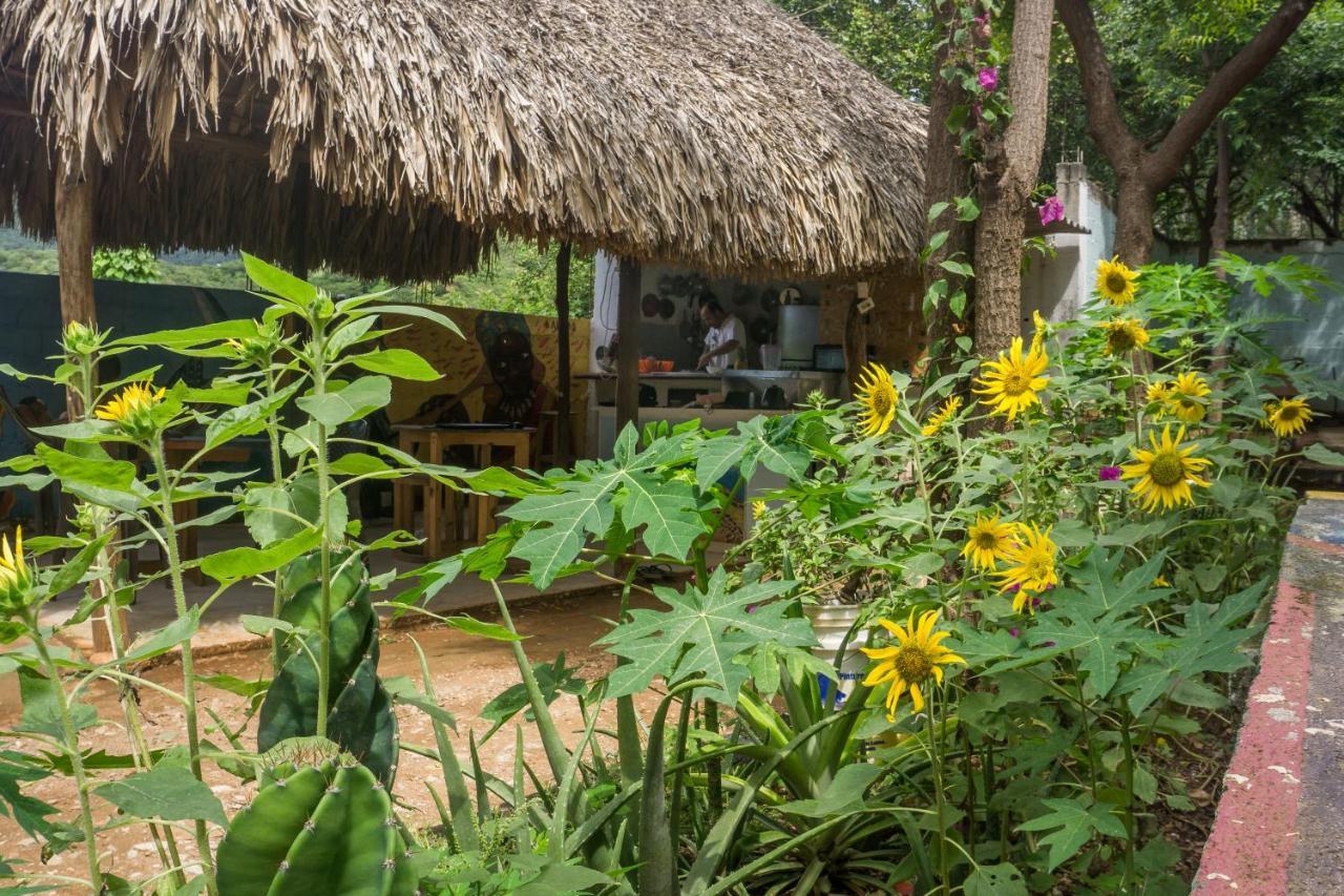 Hostel Hipilandia Taganga Exteriér fotografie